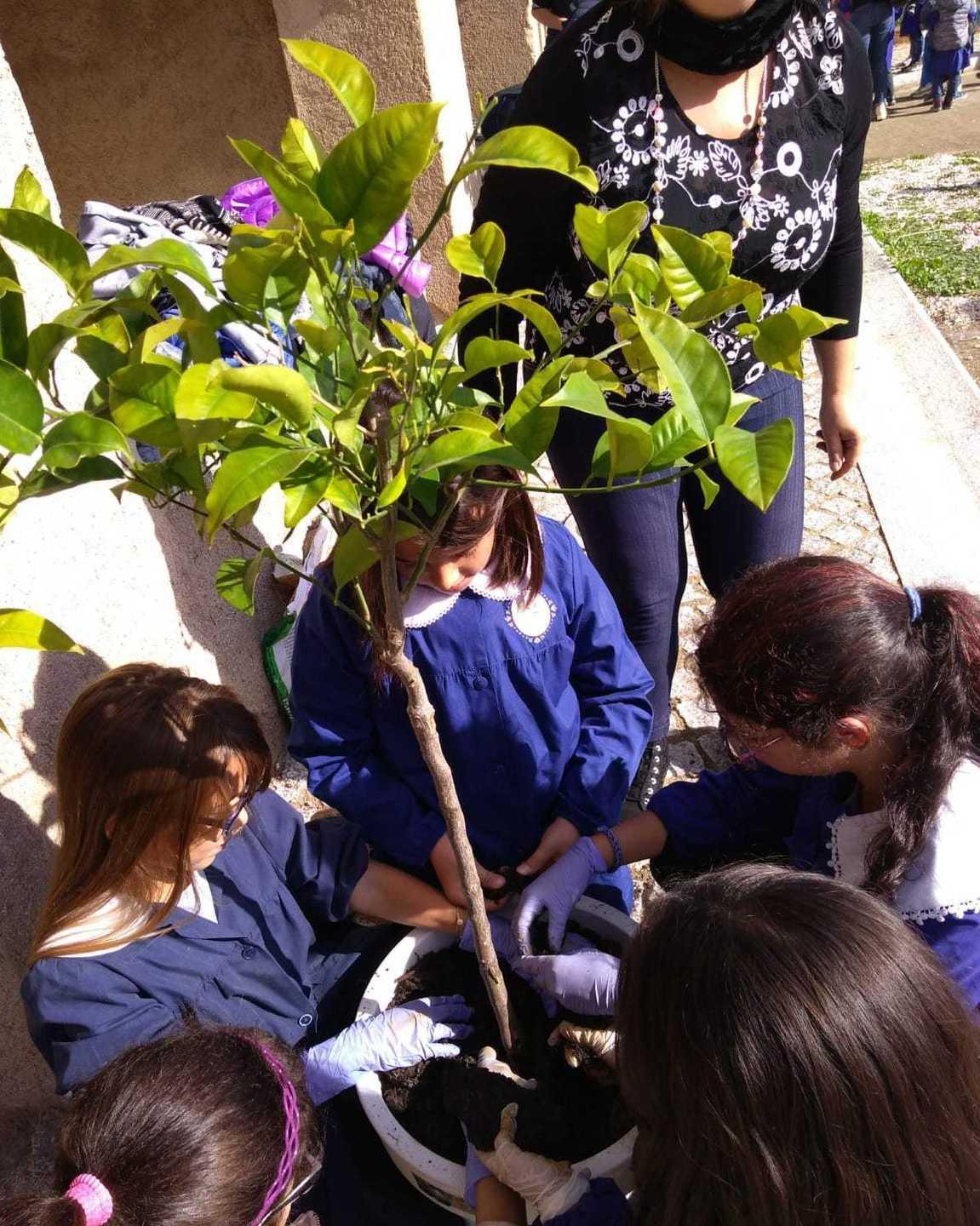 Bitti, più di 200 alunni piantano alberi nella chiesa del Miracolo