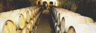 Da uve versiliesi sono prodotti vini meno noti dei nobili toscani, ma ricchi di storia e tradizione