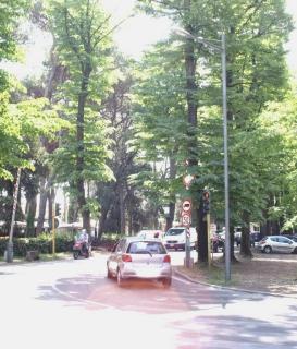 Viale dei tigli, lavori in arrivo