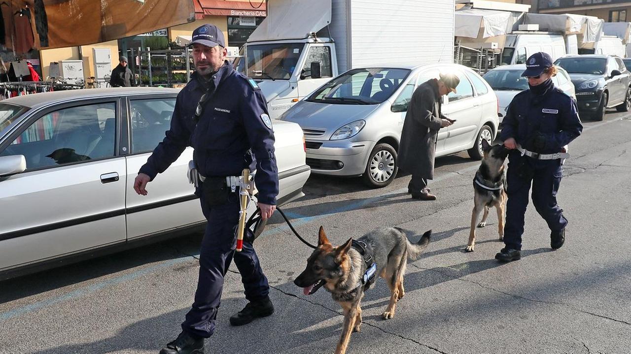 I cani antidroga della Municipale