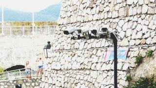 Ztl, ecco il manuale di sopravvivenza