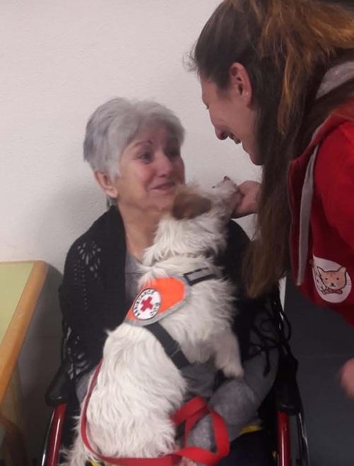 Un cane per medicina Per Therapy, il progetto decolla anche a Ferrara 