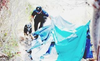 Cheval accanto alla tenda trasformata in market della droga