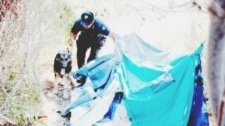 Cheval accanto alla tenda trasformata in market della droga