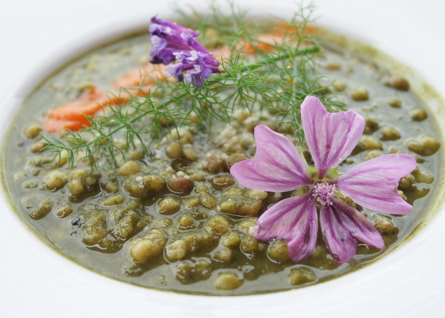 La mia ricetta: con le erbette selvatiche i piatti si fanno poesia 