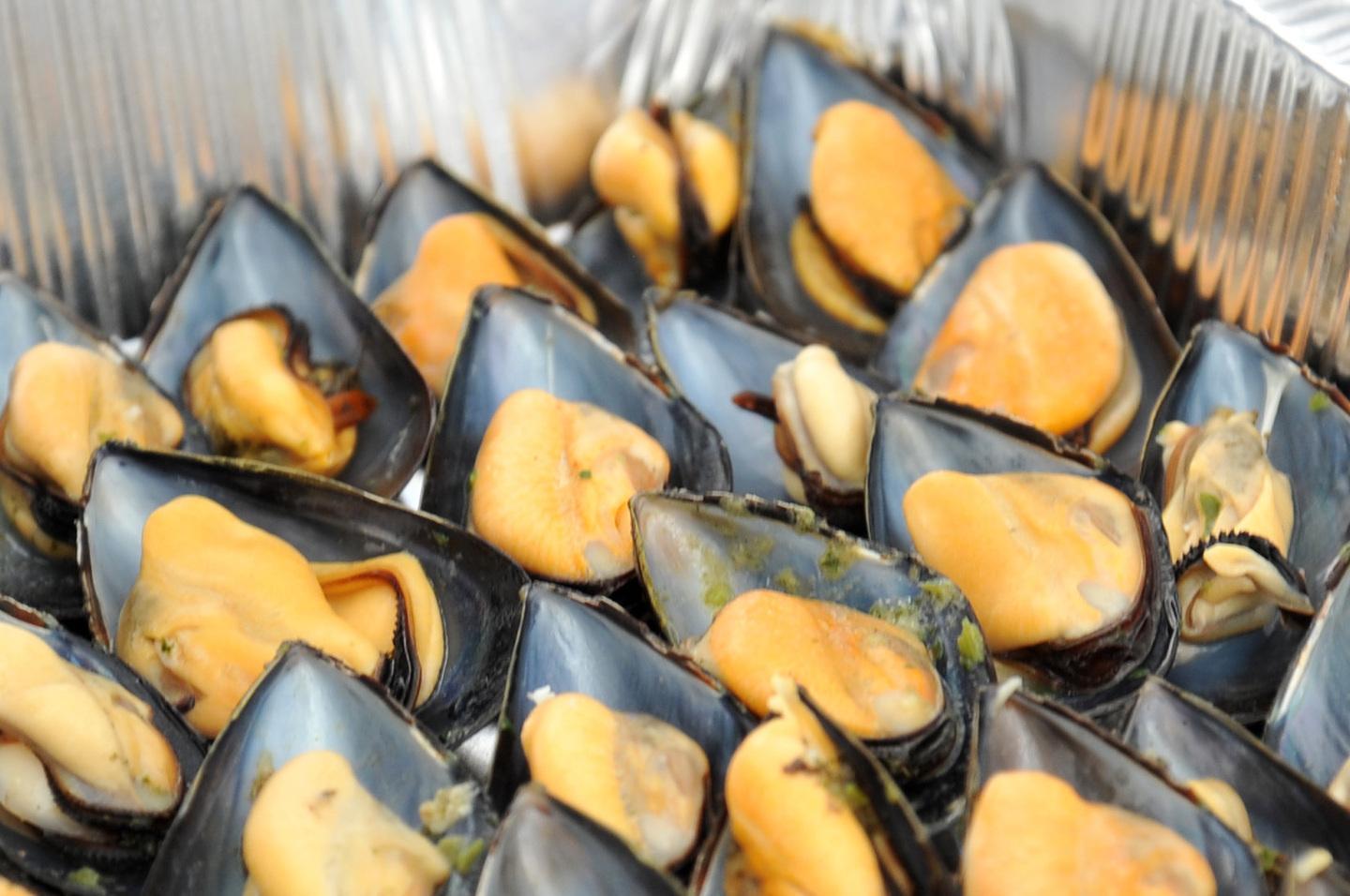 La raccolta delle cozze può riprendere 