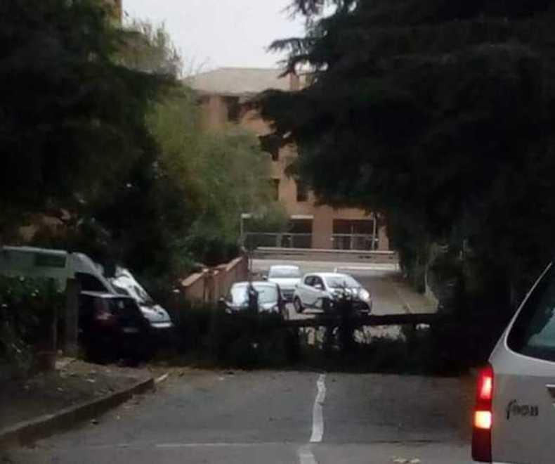 Una bufera di vento fa danni in provincia di Modena. Cadono alberi e tegole 