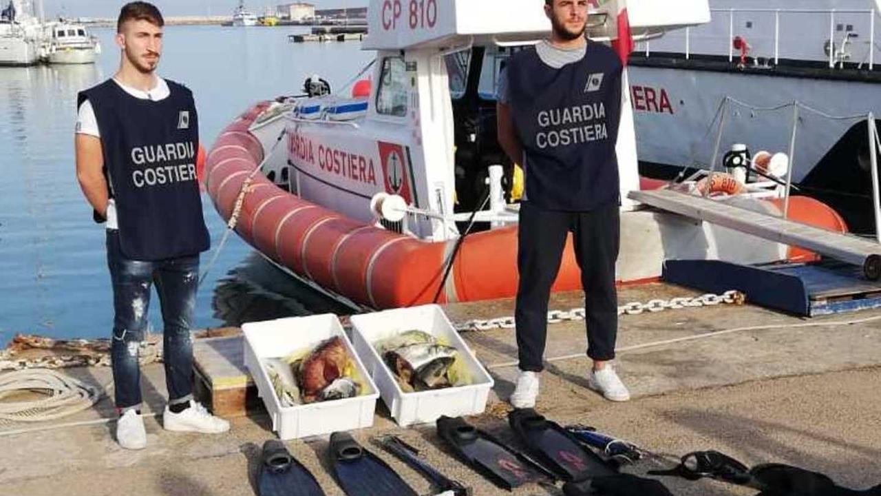 Pesca di frodo all’Asinara sanzionati due subacquei 