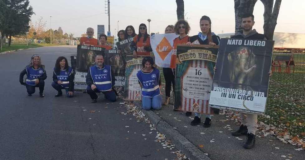 «No ai circhi con animali»