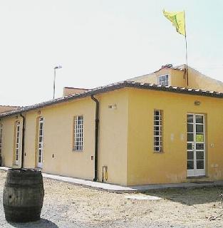 Il market della Coldiretti a Vada e un mercato