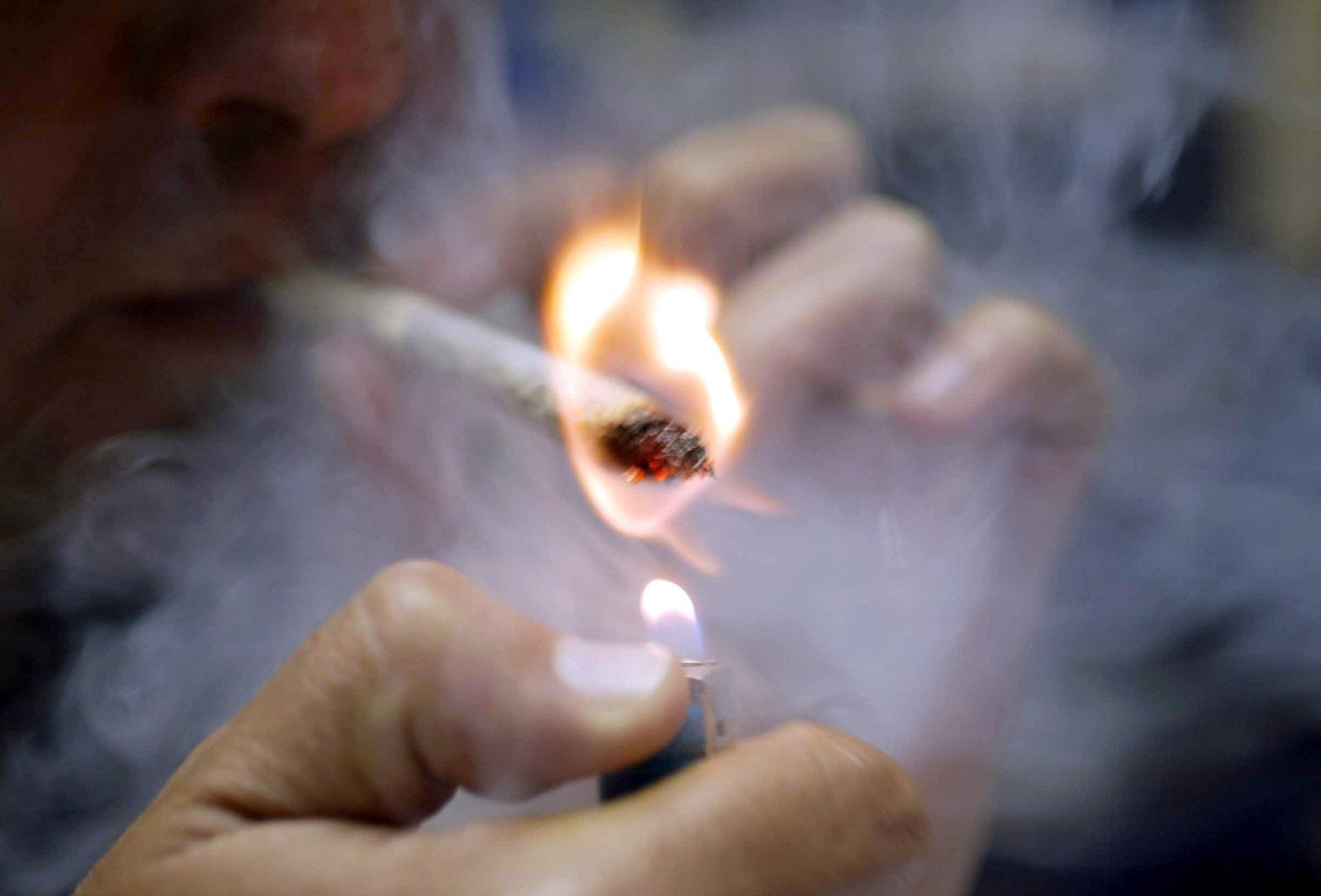 Reggio Emilia, uno studente su quattro fa uso di cannabinoidi 