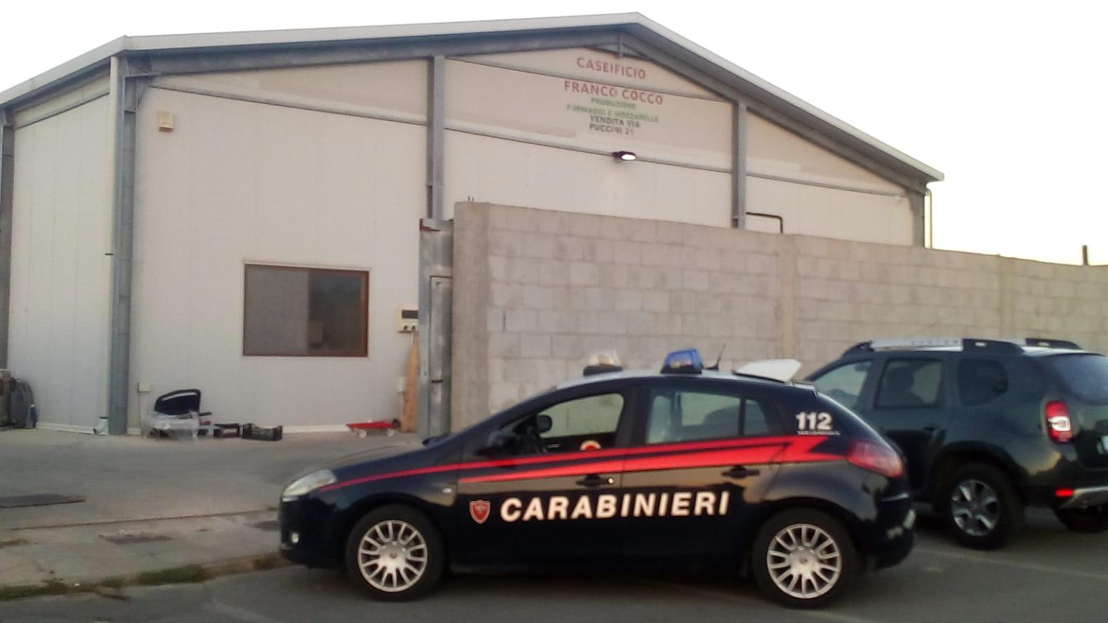 Colpo in un caseificio di Sinnai, rubate 300 forme di formaggio