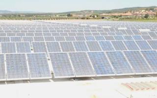 L’impianto fotovoltaico dell’Unicoop a Vignale Riotorto