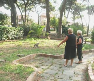 <strong>SPARITA. </strong>In alto i supporti per la panchina che non c’è più; a destra le piante che cadono; qui a fianco il ristorante abbandonato