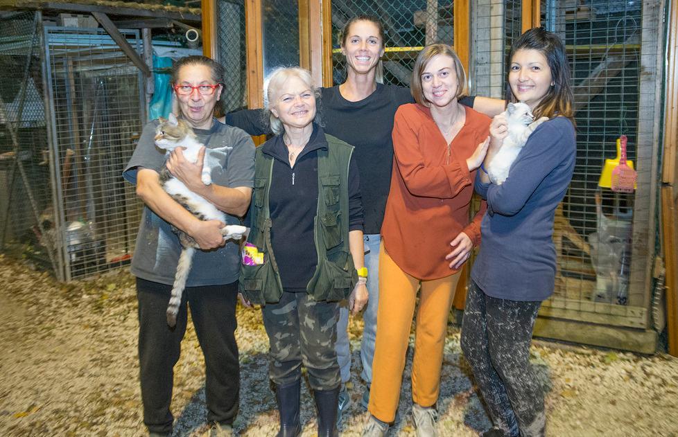 Carpi. Muore e lascia 360mila euro al gattile di San Marino 