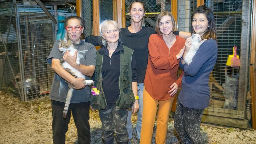 Carpi. Muore e lascia 360mila euro al gattile di San Marino