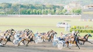 Tornano le corse pomeridiane all’ippodromo cittadino