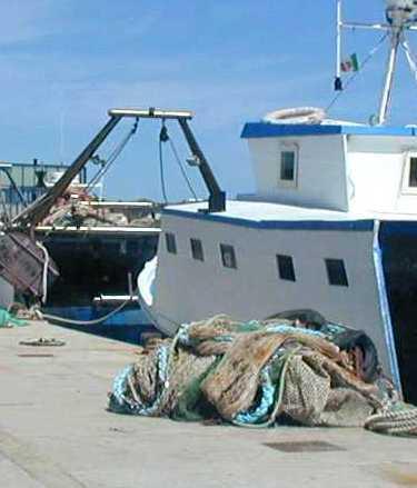 Mancati indennizzi ai pescatori, la vicenda in consiglio regionale