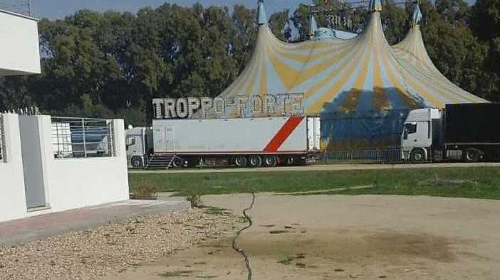 Furto d’acqua, nei guai i titolari del circo Orfei
