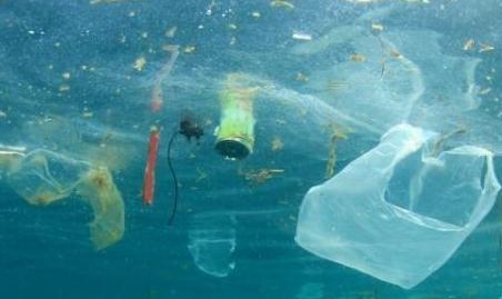 Mare più pulito, il Comune vuole abolire la plastica