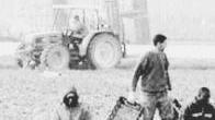 Agricoltura, aziende a rischioper gli alti costi di produzione
