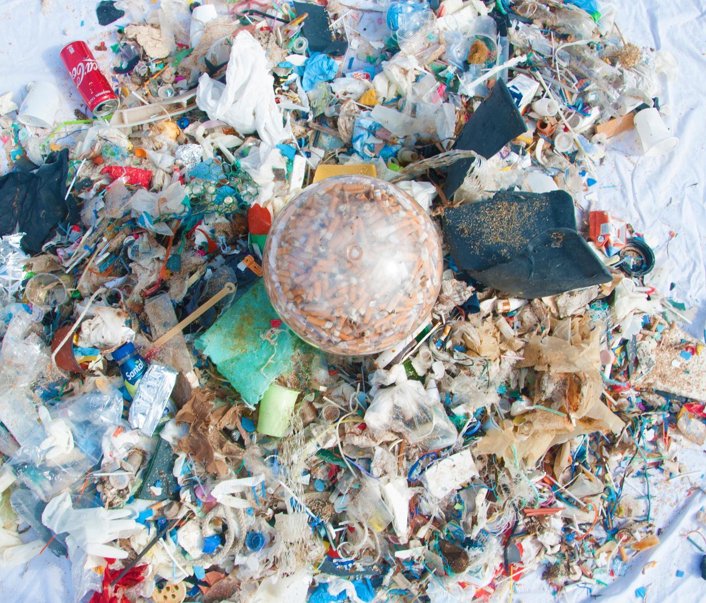 In mostra il vero nemico del Sinis 