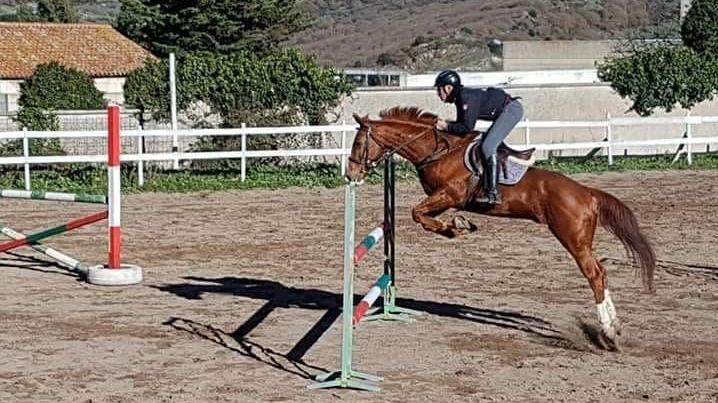 Macomer avrà la scuola di equitazione
