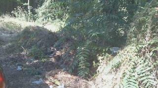 A sinistra un’area verde di Poveromo: nella foto dei lettori si vede la spazzatura sparsa ovunque