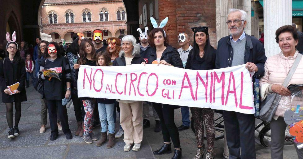 Animalisti attaccano il circo