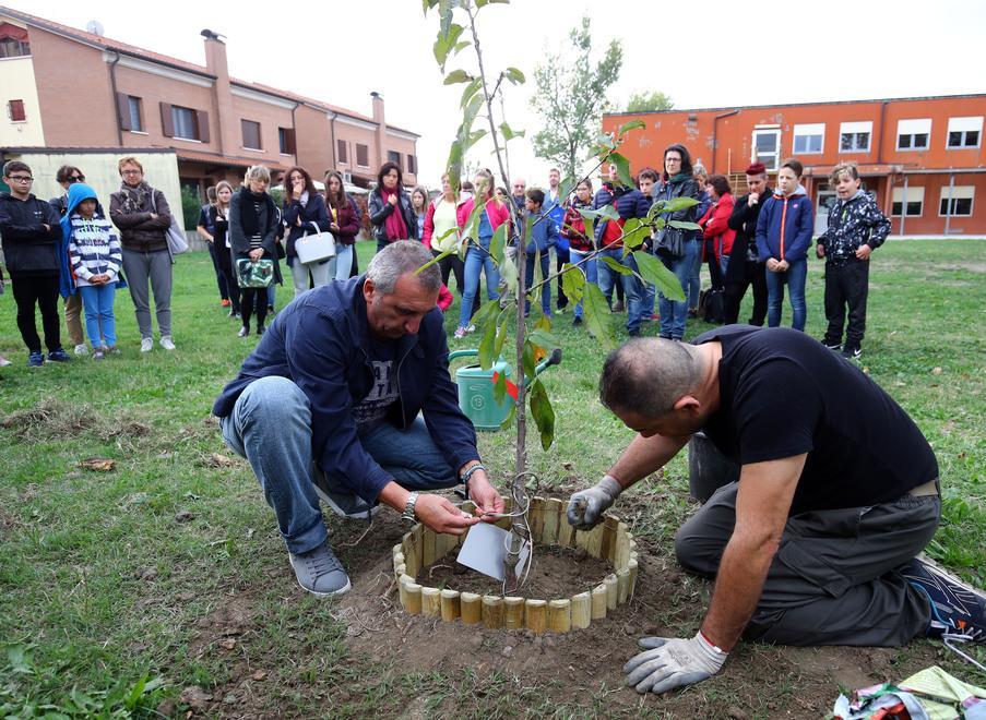 Un albero per ricordare il piccolo Filippo 