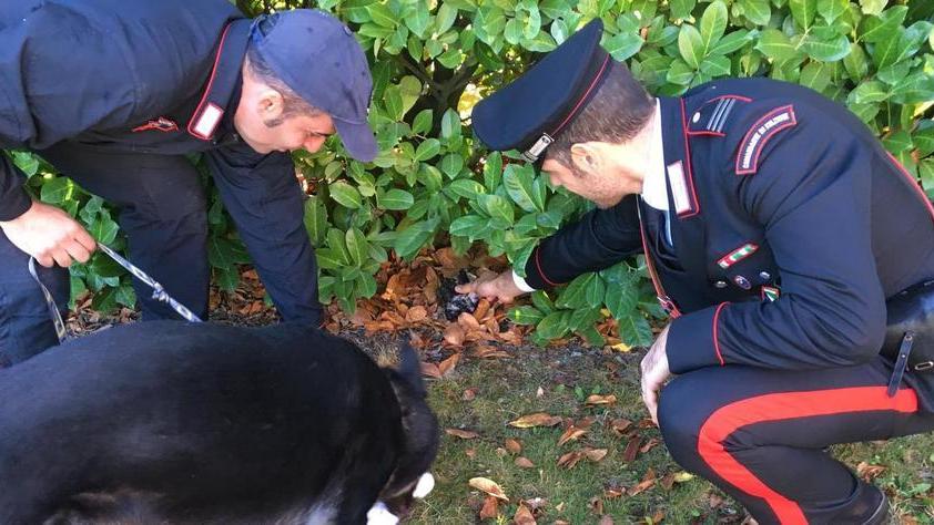 Spaccio di droga ai giovani: tre arresti