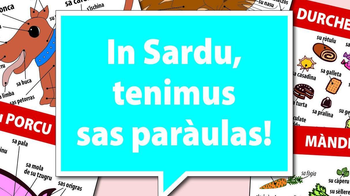 “In sardu, tenimus sas paràulas!” publicadu in forma de libru
