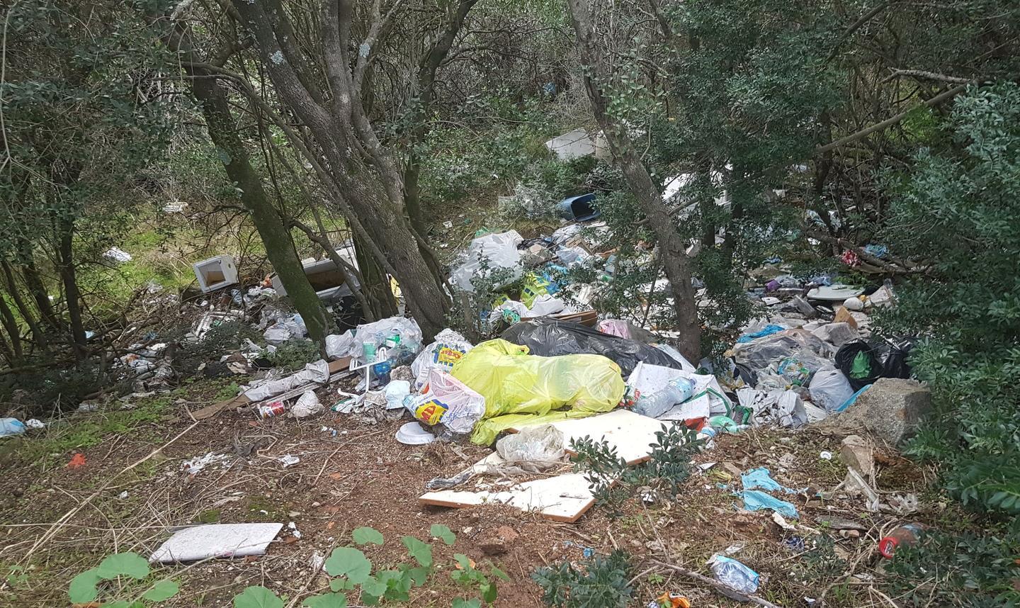 Tra gli alberi una discarica di rifiuti