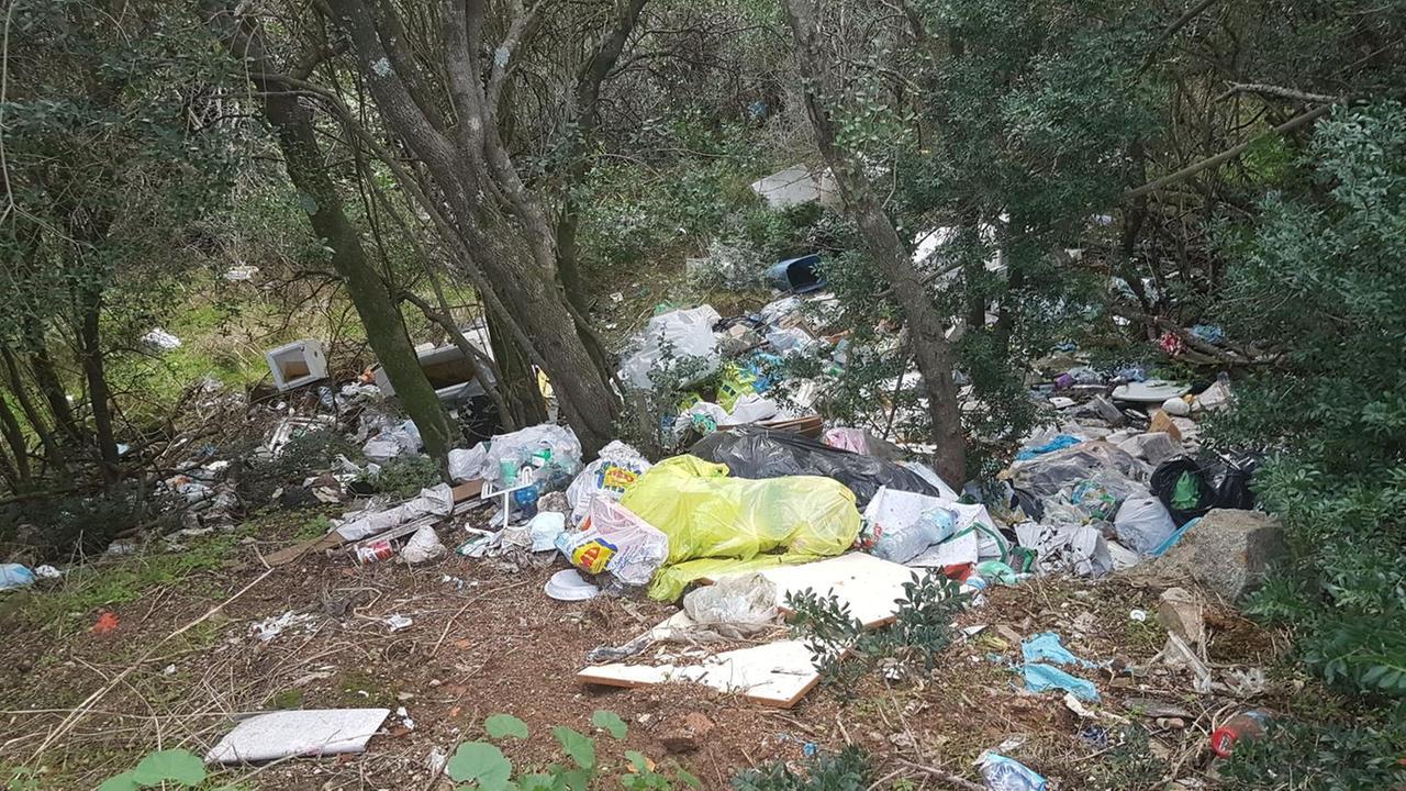 Tra gli alberi una discarica di rifiuti