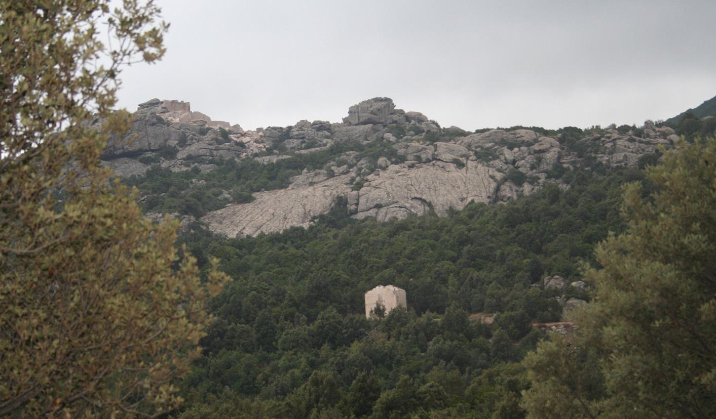 Sul rilancio del Limbara Albieri va al contrattacco 