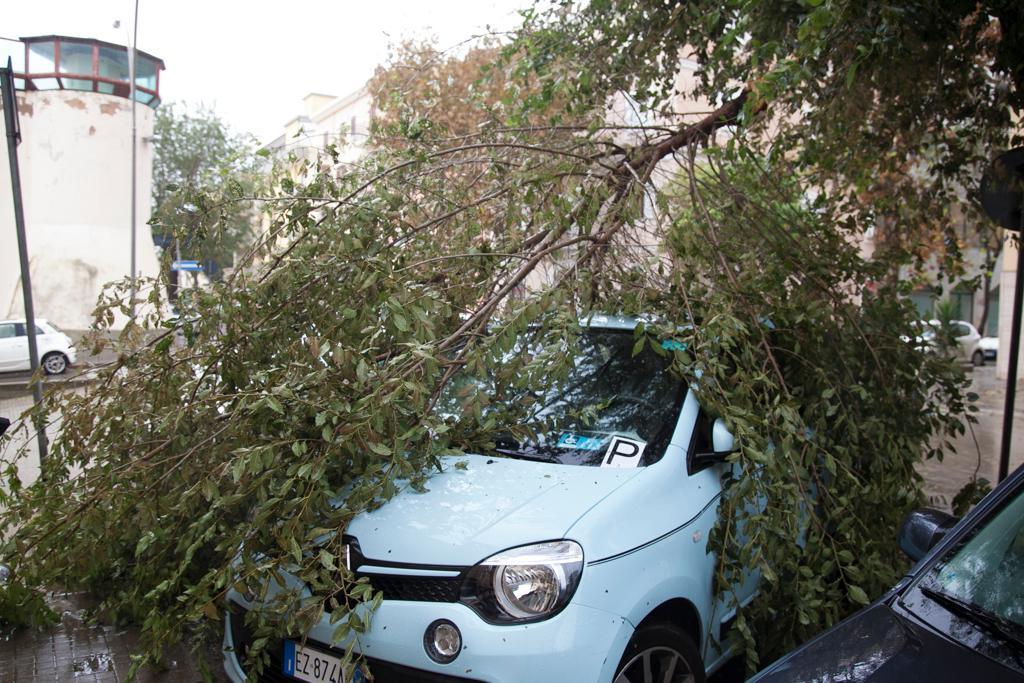 Maltempo, ad Alghero scuole e parchi chiusi