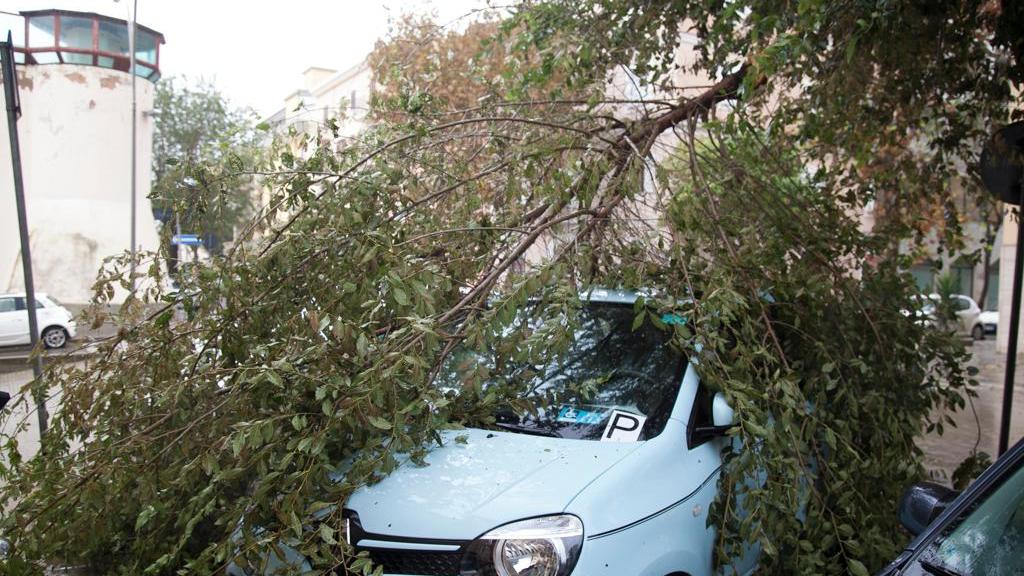 Maltempo, ad Alghero scuole e parchi chiusi