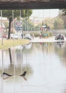 Così appariva ieri mattina il sottopasso di via Firenze: un paraurti galleggia