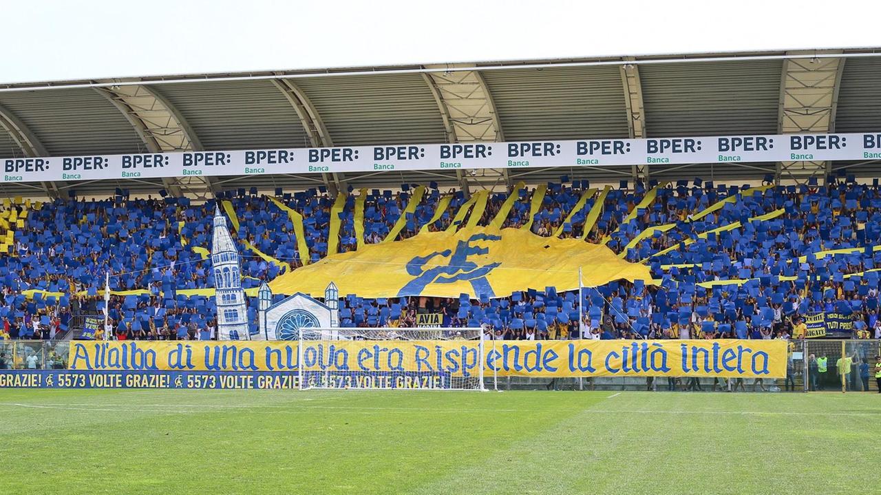 La curva Montagnani