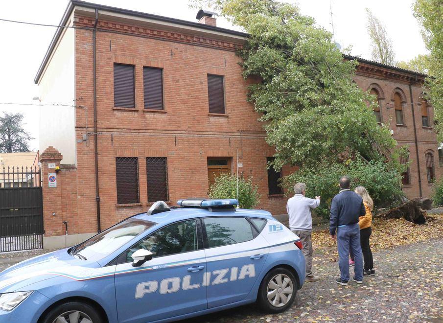 Alberi su abitazioni e strade Disagi con danni in città 