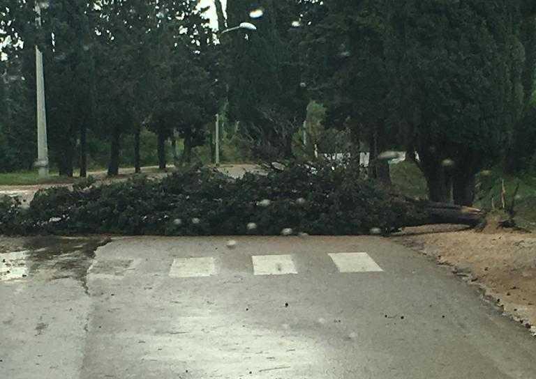 Raffiche di vento e cornicioni a rischio 