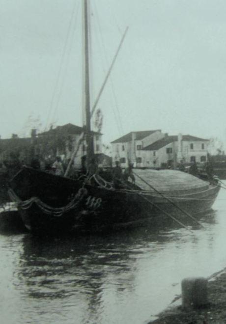 Dalla montagna alla laguna di Venezia Scillitani racconta un mondo da salvare 