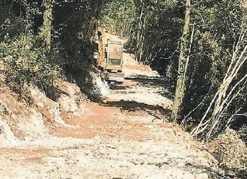 Uno scorcio della strada abusiva realizzata nel bosco 