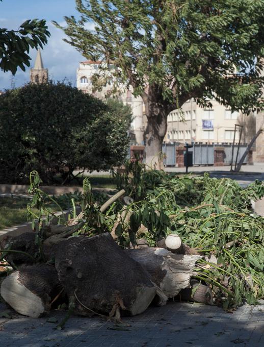 Iniziata la conta dei danni causati da grandine e vento 