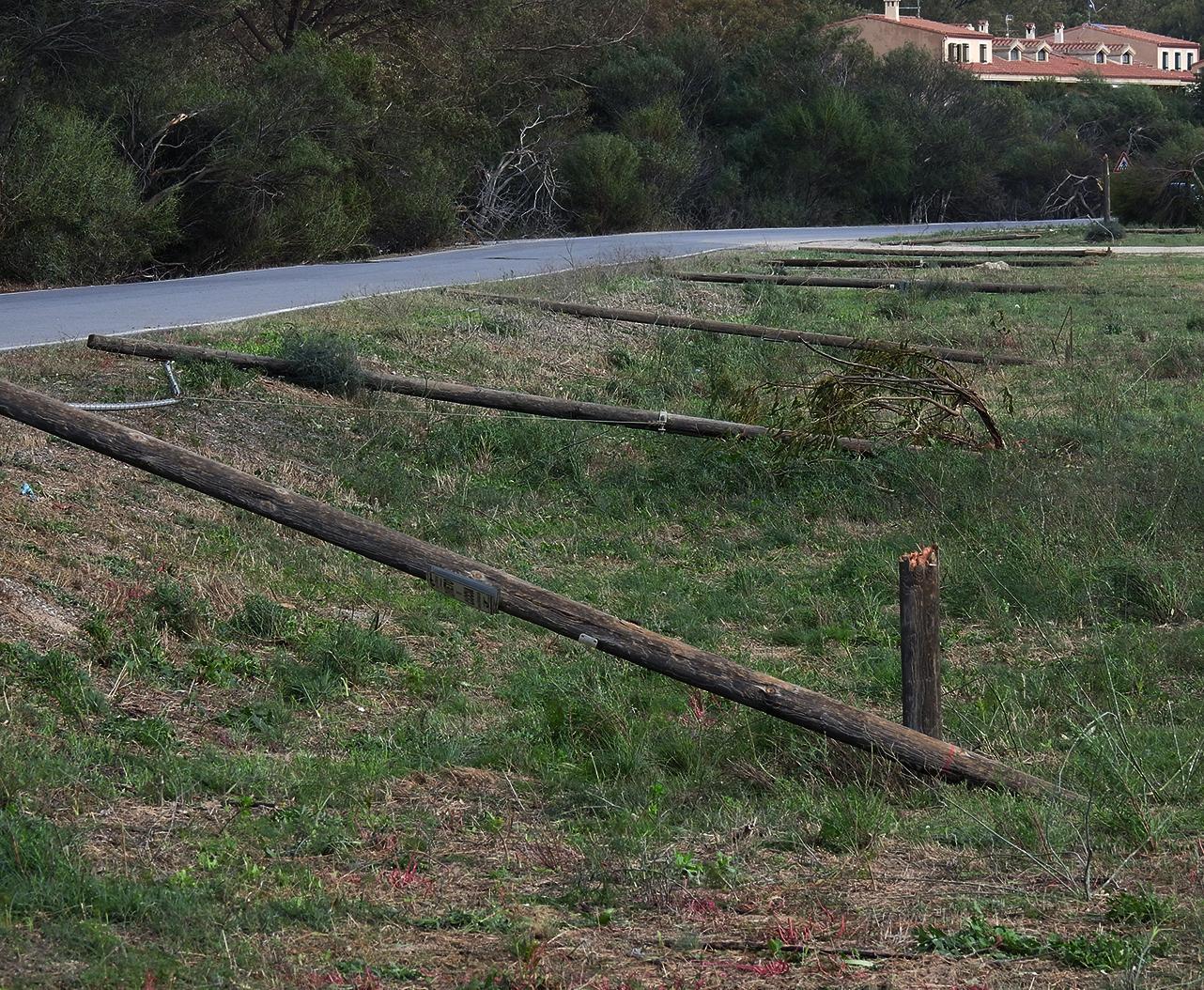 Alberi e pali abbattuti Campagne devastate 