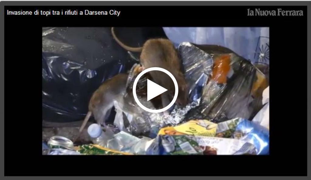 La colonia di topi a cena a Darsena City