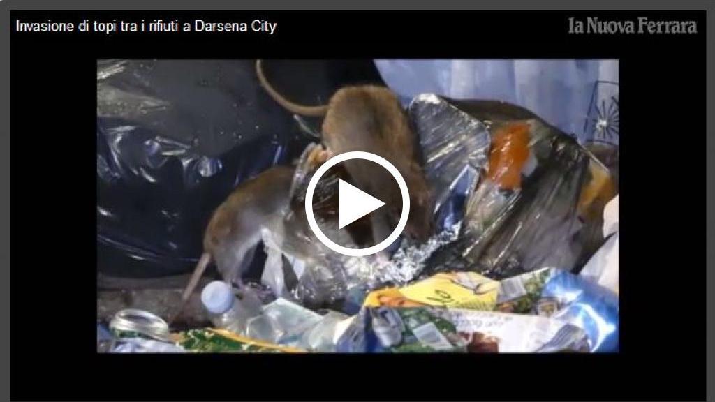 La colonia di topi a cena a Darsena City
