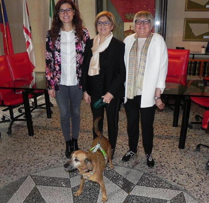Apre in Comune uno sportello per il benessere degli animali 