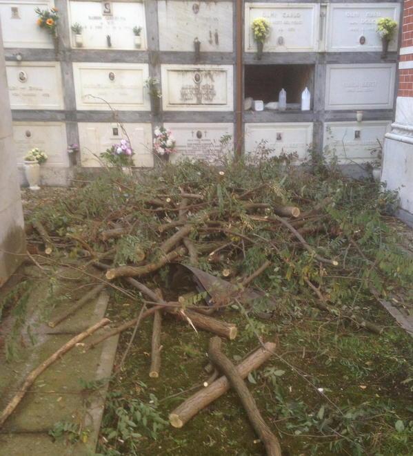 Alberi caduti disastro accanto alle tombe