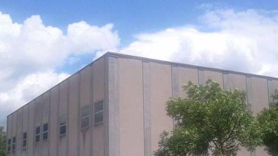 Sos dei genitori «Troppe mosche nella scuola»